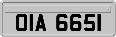OIA6651