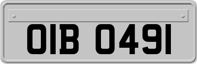OIB0491