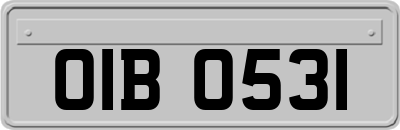 OIB0531