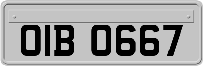 OIB0667