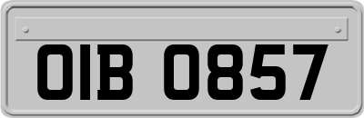 OIB0857