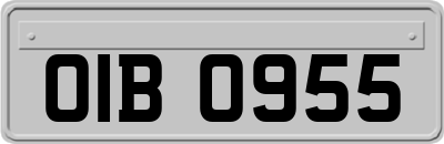 OIB0955