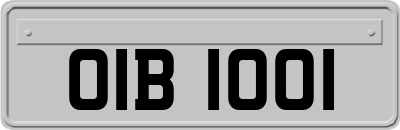 OIB1001