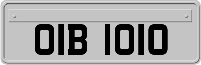 OIB1010