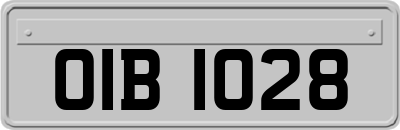 OIB1028