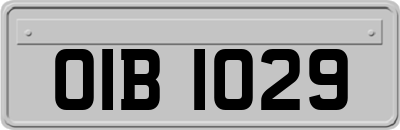 OIB1029