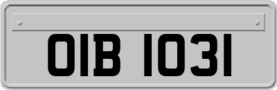 OIB1031