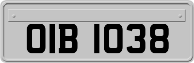 OIB1038