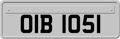OIB1051