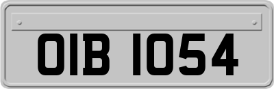 OIB1054