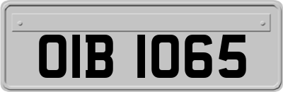 OIB1065