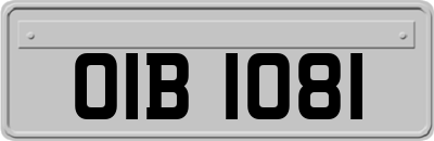 OIB1081