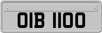 OIB1100