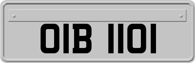 OIB1101