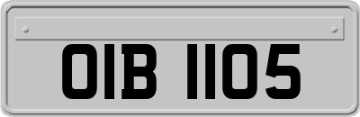 OIB1105