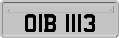 OIB1113