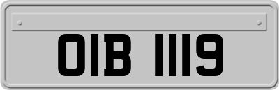 OIB1119