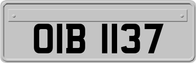 OIB1137