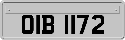 OIB1172