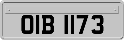 OIB1173