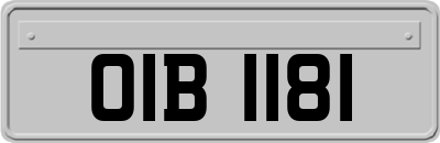 OIB1181
