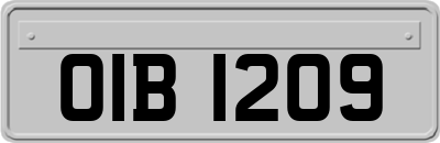 OIB1209