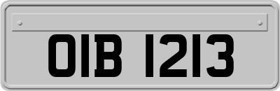 OIB1213