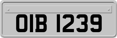 OIB1239