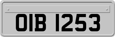OIB1253
