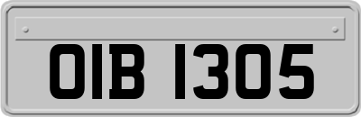 OIB1305