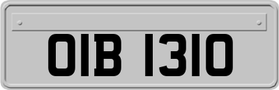 OIB1310
