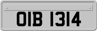 OIB1314