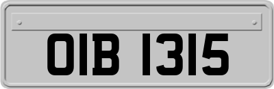 OIB1315