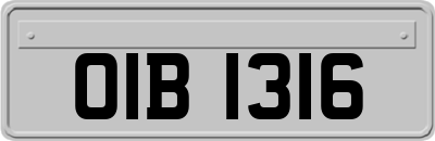 OIB1316