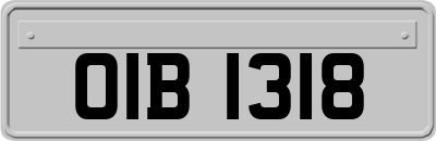 OIB1318