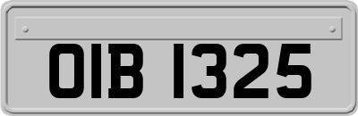 OIB1325