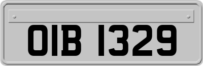 OIB1329
