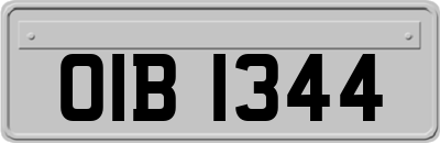 OIB1344