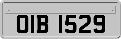 OIB1529