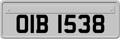 OIB1538