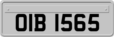 OIB1565