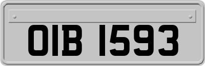 OIB1593