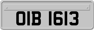 OIB1613