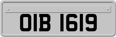 OIB1619