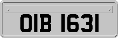OIB1631