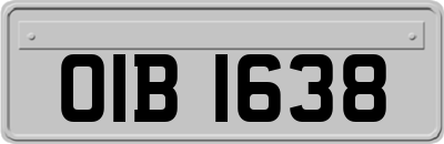 OIB1638