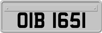 OIB1651