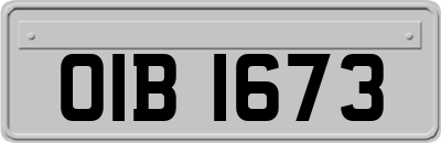 OIB1673