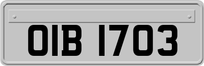 OIB1703