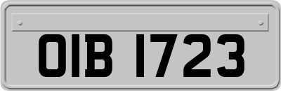 OIB1723